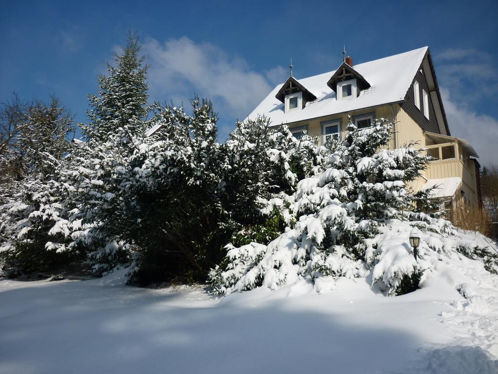 Pension Haus Martha Bad Grund Εξωτερικό φωτογραφία