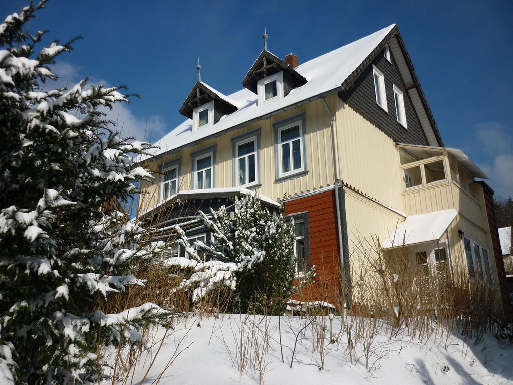 Pension Haus Martha Bad Grund Εξωτερικό φωτογραφία