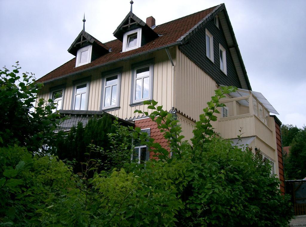 Pension Haus Martha Bad Grund Εξωτερικό φωτογραφία